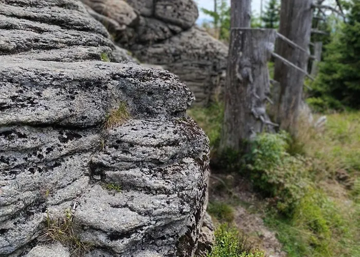 Bergstadthaus Fuer Familien Und Freunde Sankt Andreasberg